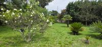  of property in Benoni AH