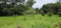  of property in Benoni AH
