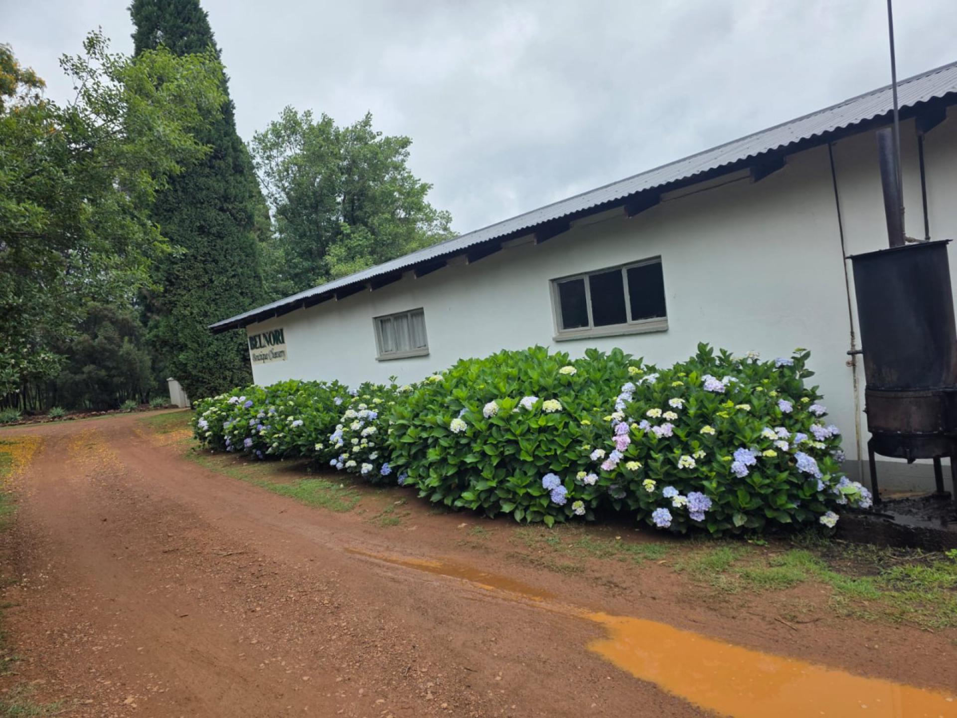  of property in Nest Park