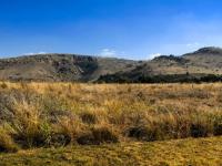  of property in Cashan