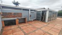 Backyard of property in Uvongo