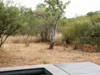  of property in Hoedspruit