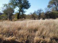  of property in Hoedspruit