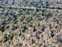  of property in Hoedspruit