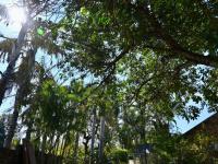  of property in Hoedspruit