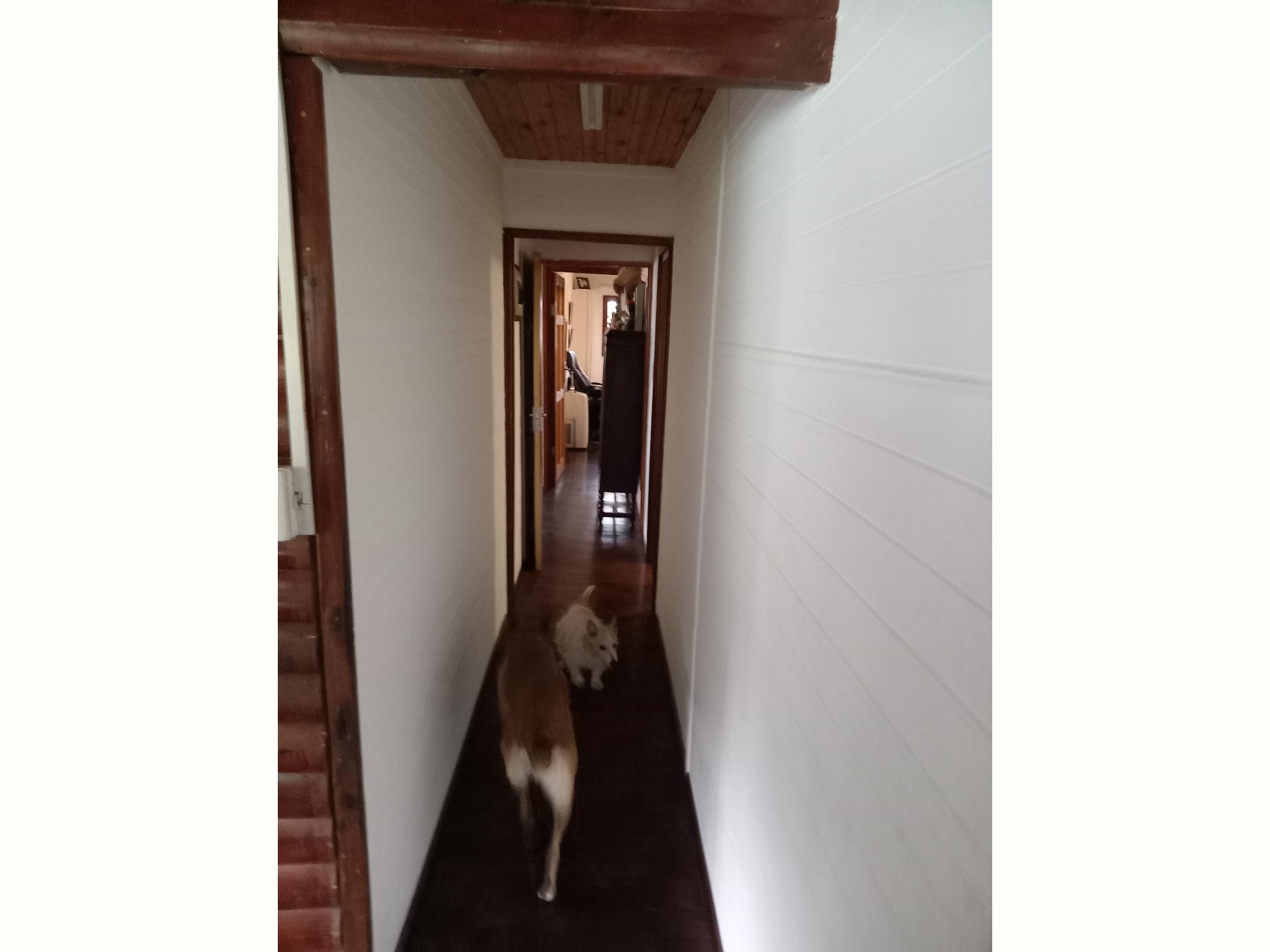  of property in Hibberdene