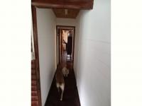  of property in Hibberdene