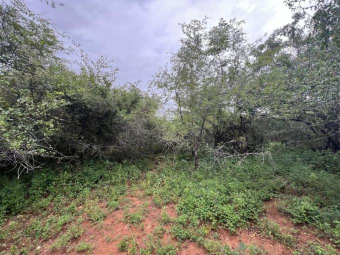 Land for Sale For Sale in Marloth Park - MR716377