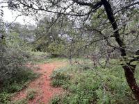  of property in Marloth Park