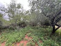  of property in Marloth Park