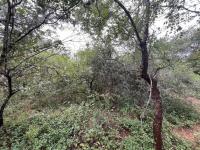  of property in Marloth Park