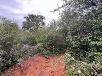 of property in Marloth Park