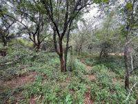  of property in Marloth Park