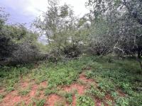  of property in Marloth Park