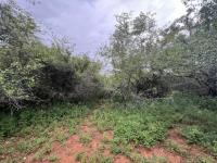  of property in Marloth Park