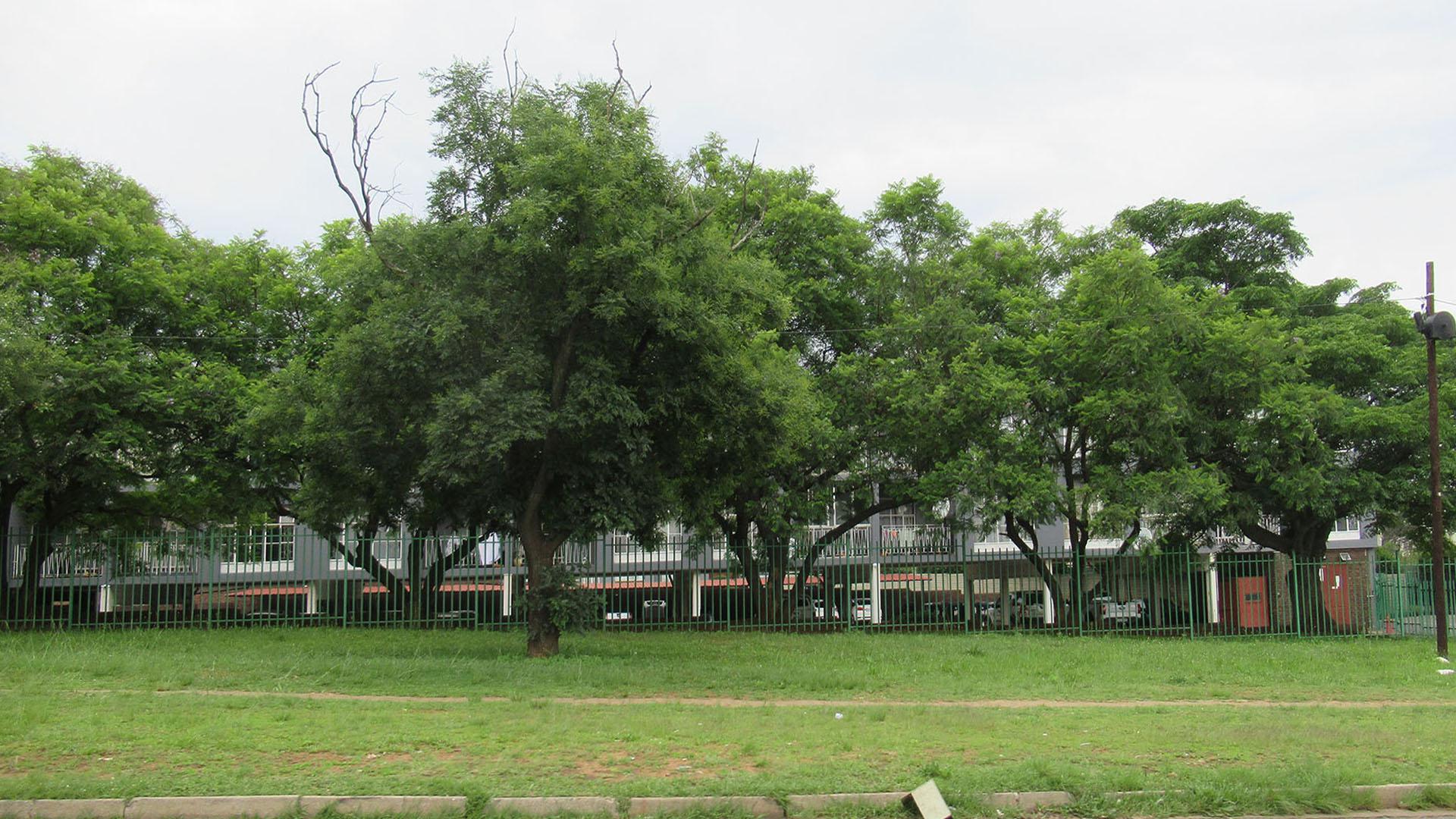 Front View of property in Horison View