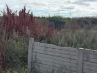  of property in Polokwane