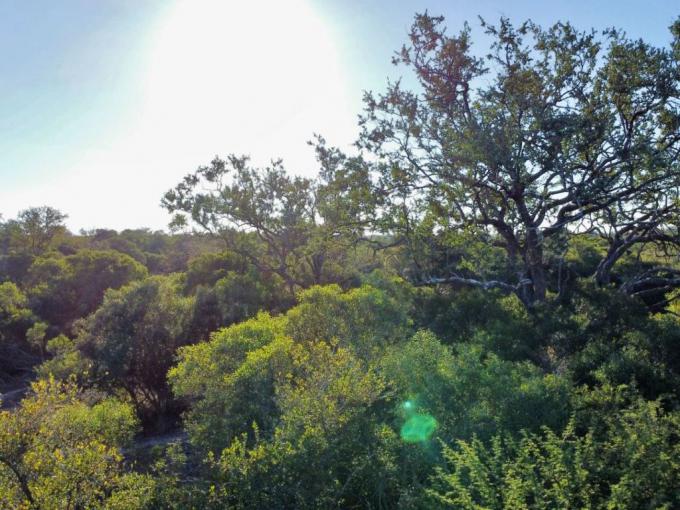Land for Sale For Sale in Hoedspruit - MR716499