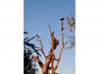  of property in Hoedspruit