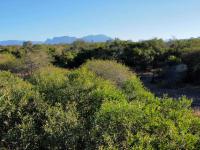  of property in Hoedspruit