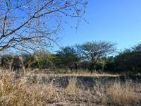  of property in Hoedspruit