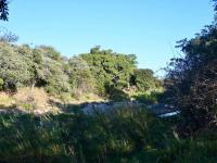  of property in Hoedspruit