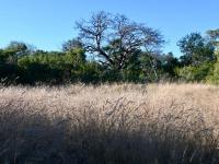  of property in Hoedspruit