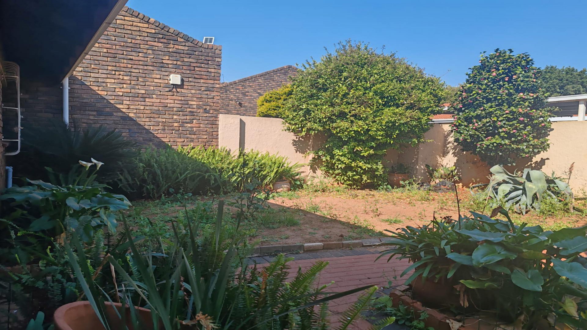 Garden of property in Birchleigh