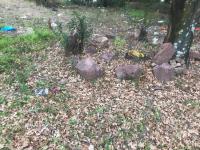 Land for Sale for sale in Middelburg - MP
