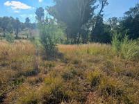  of property in Homestead Apple Orchards AH