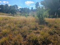  of property in Homestead Apple Orchards AH