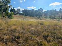  of property in Homestead Apple Orchards AH