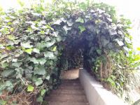  of property in Glenvista