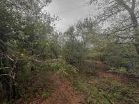 Land for Sale for sale in Marloth Park
