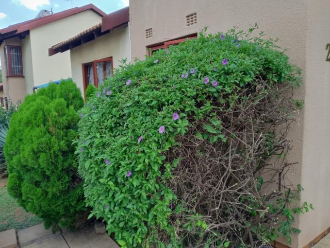 3 Bedroom Simplex to Rent in Liefde en Vrede - Property to rent - MR716681