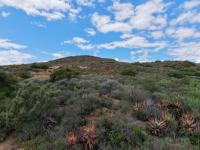  of property in Robertson