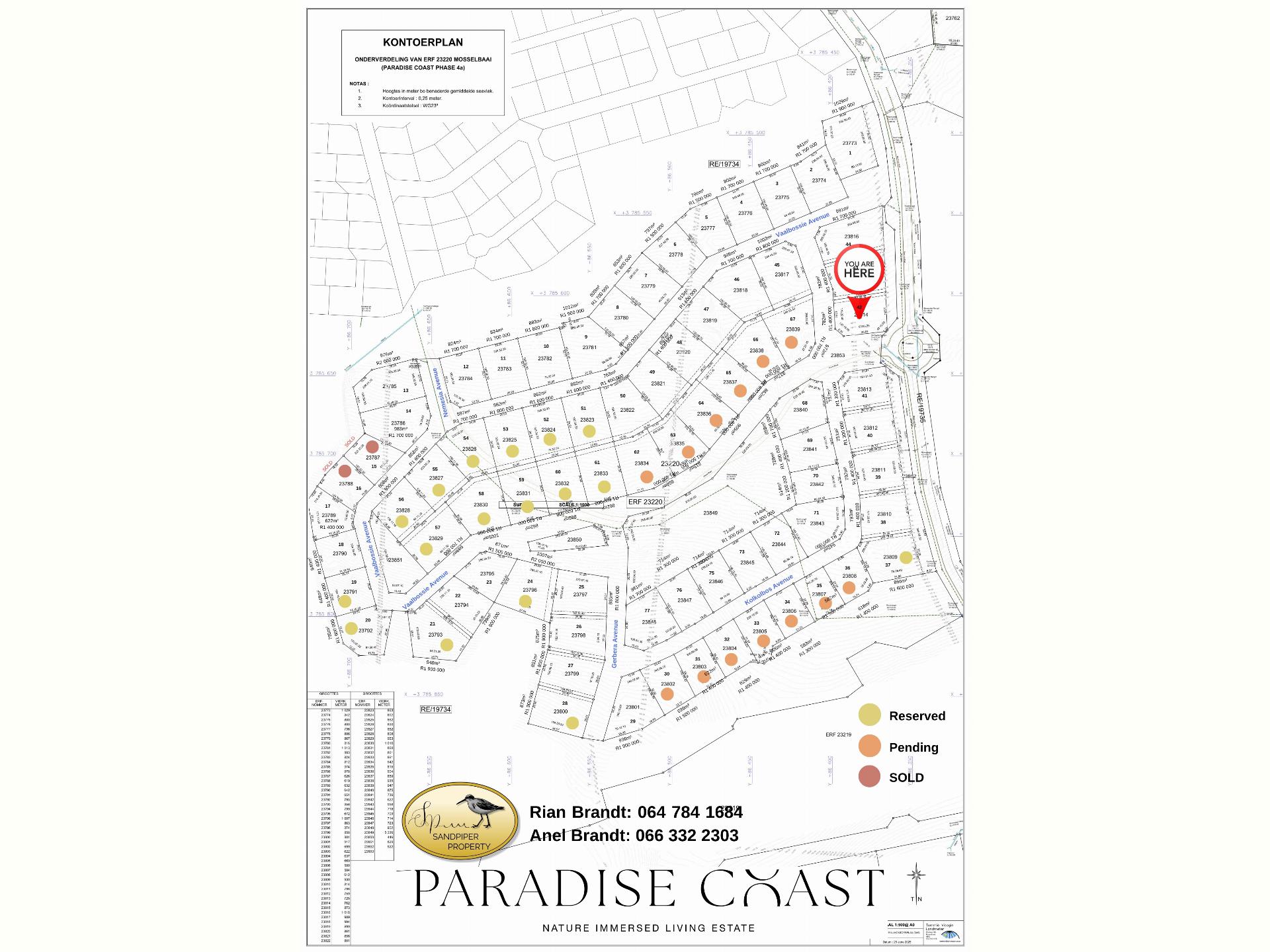  of property in Dana Bay
