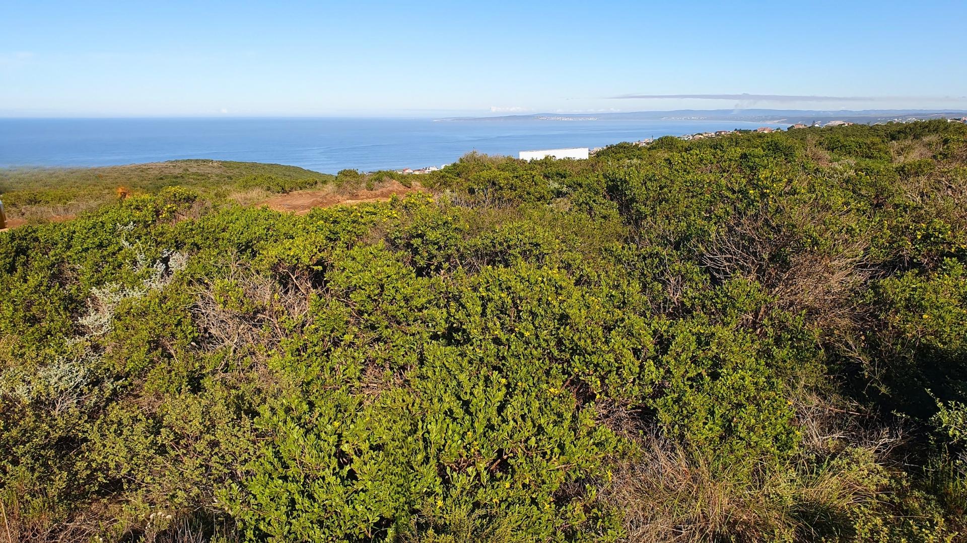 of property in Dana Bay