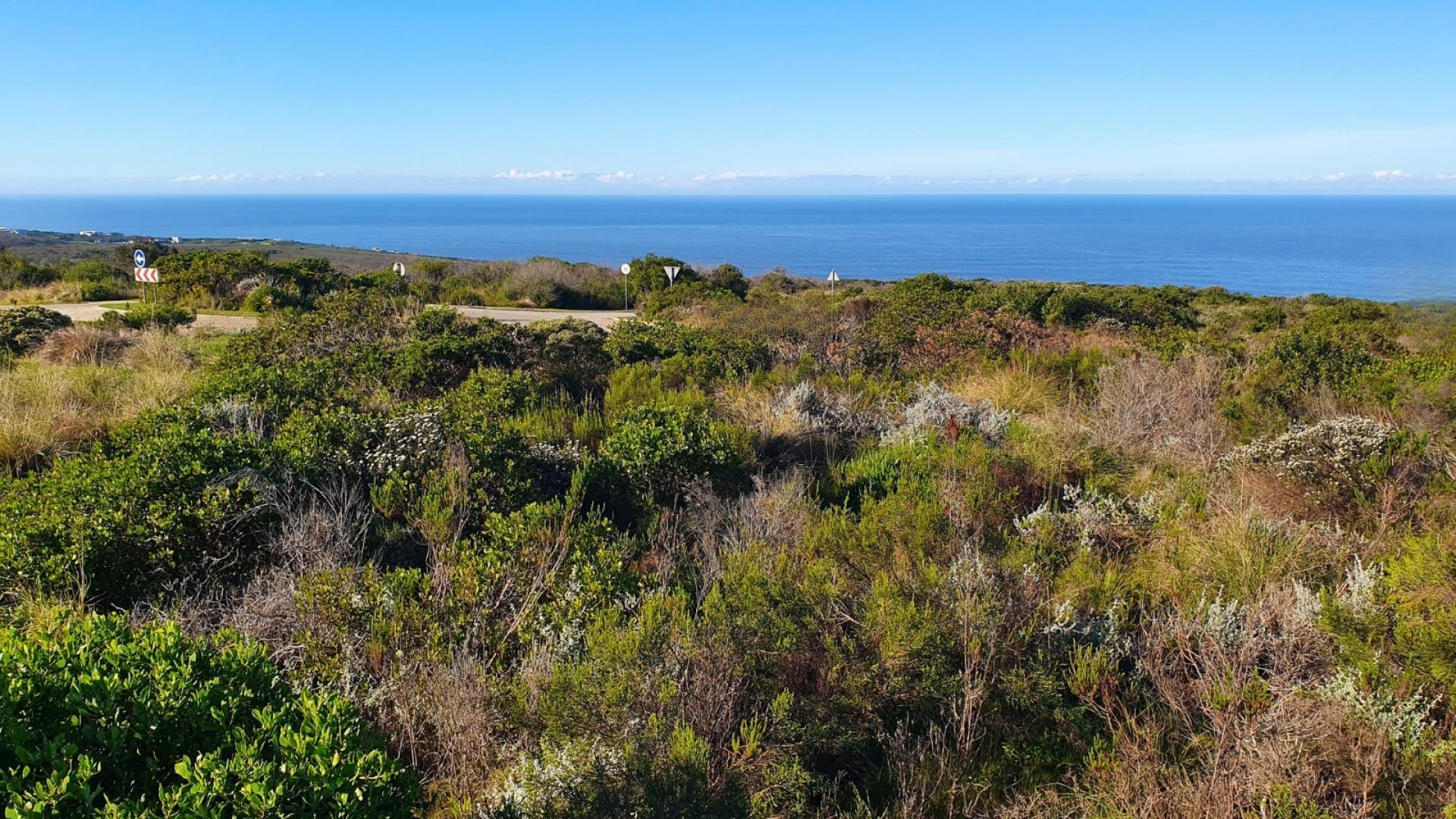  of property in Dana Bay