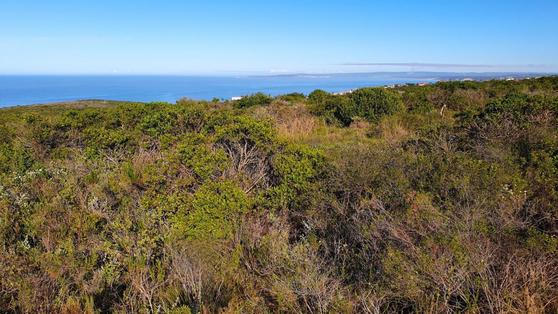 of property in Dana Bay
