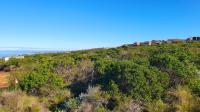  of property in Dana Bay