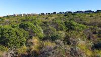  of property in Dana Bay