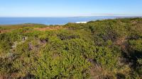  of property in Dana Bay