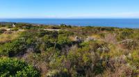  of property in Dana Bay