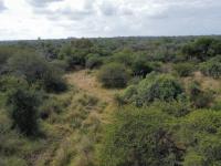  of property in Hoedspruit
