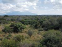  of property in Hoedspruit