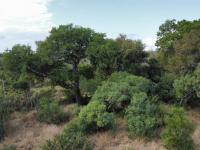  of property in Hoedspruit