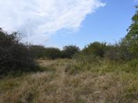  of property in Hoedspruit