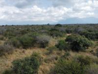  of property in Hoedspruit