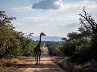  of property in Hoedspruit